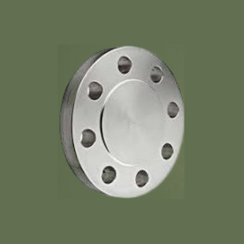 Flange cego